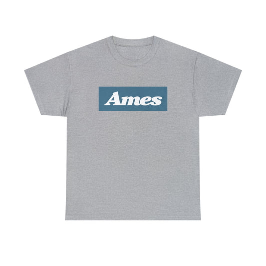 Ames Department Stores T-Shirt